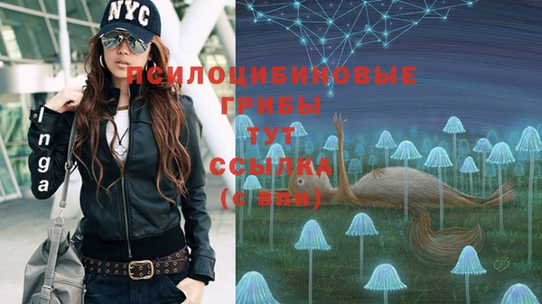 соль ск Гусиноозёрск
